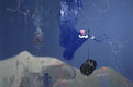 Anemone